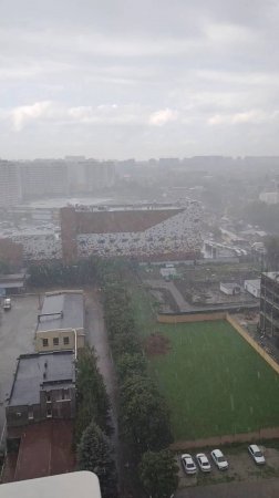 Просто летний дождь