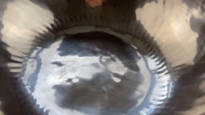 Кованая поющая чаша 25.2см Ре#-Ми3 159-160гц Pr139