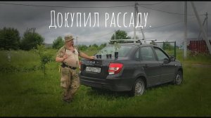 08.06.2025 Докупил еще рассаду.