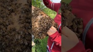 Уральская девушка #уралочка #уральскаядевушка