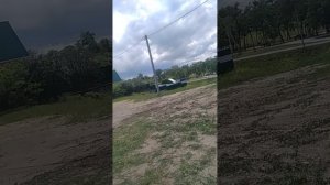 вид  голубидской н