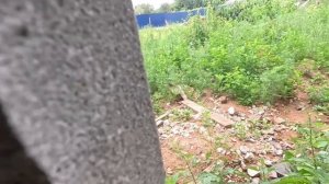 Обзор для клиентов из региона. Смотрим и выбираем район для покупки квартиры