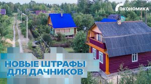 Новые правила для владельцев загородных участков: что грозит дачникам за шум, мусор и самострой?