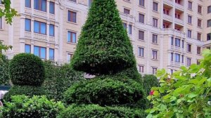 Преображение столицы.Как меняется Москва к фестивалям, изумительные виды города-18.06.2025 год.