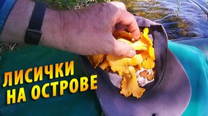 #9 Лисички на острове | Онего | Поход 2024