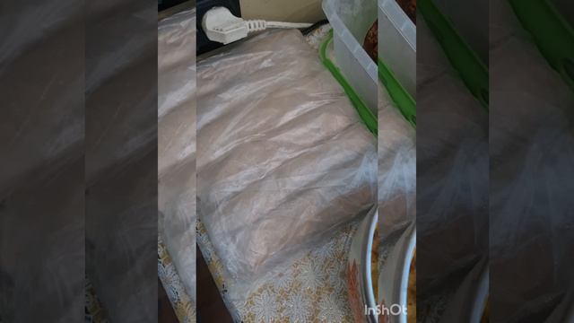 заготовки на несколько дней
