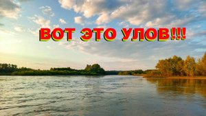 ВОТ ЭТО УЛОВ! ПОВЕЗЛО, СОХРАНИЛ СНАСТИ.