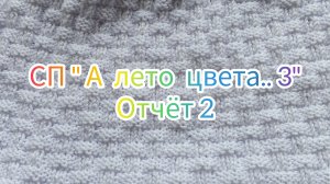 СП " А лето цвета..3" Отчёт 2 Участник 43