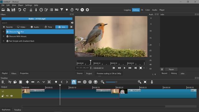 50. Shotcut. Наборы фильтров, Эффекты ГП (Filter sets, GPU Effects, Qt6)