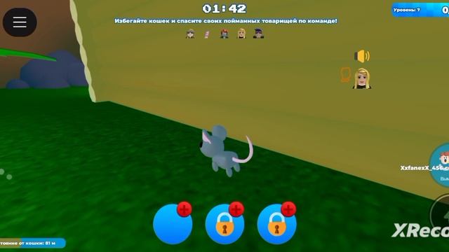 Играю в Игру про мышку и кошку💫