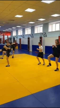 🇷🇺Тренировка спортсменов "Федерации Савата Липецкой области" и МАУ ДО ДЮСШ, ГАУ ДО ЛО ОК СШОР🥊