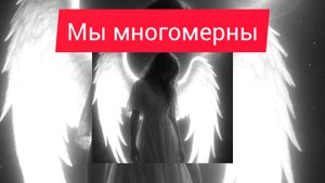 Мы многомерны