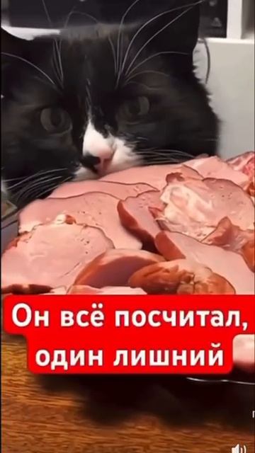 Один лишний!