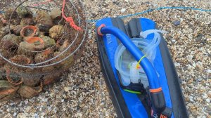 Евпатория 2025. Медузы и мазута нет. а есть шикарное чистое и прохладное море. Кум наловил рапанов!