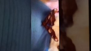 1000021274.mp4