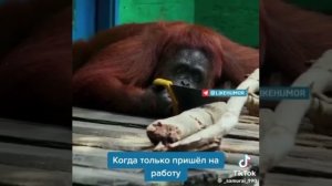 Понидельник день тяжёлый