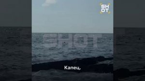 Ничего необычного, просто акула проплыла мимо туристов в турецкой Аланье