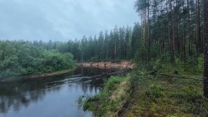 Сплав по реке Песь ( променад на берегу ) 24 км .
