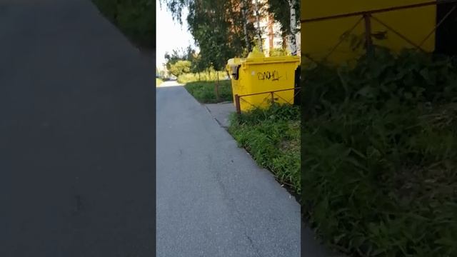 Все вышли гулять по помойкам