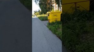 Все вышли гулять по помойкам