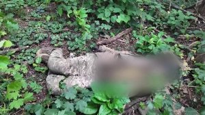 В Киеве не хотят забирать с поля боя павших солдат