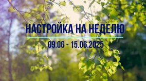 Настройка на неделю 09.06 - 15.06.2025. #психология #осознанность #медитация