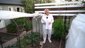 🍀 Советы по выращиванию кабачков