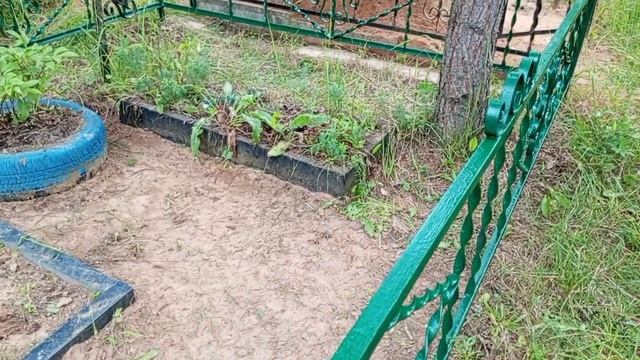 Сегодня  покрасила оградку,планирую постелить искусственный газон.