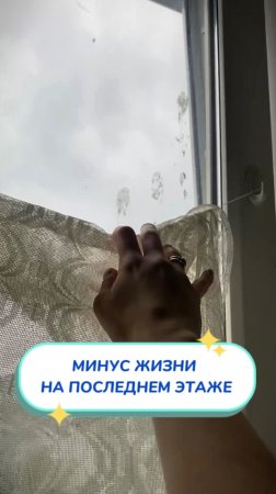 Жизнь на 9-м этаже: Небо близко, птицы – еще ближе! 🐦💩Артикул на WB #269153142💫Ozon #1740810271