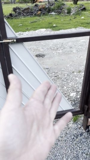 Ручей и "газон" на участке