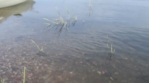 Открытие летней рыбалки
