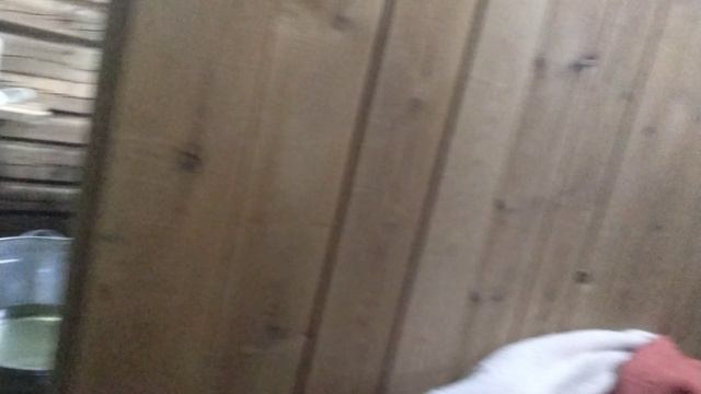 ПЕРВЫЙ ДЕНЬ В БАННЕ!/кошка стала ЧИСТЮЛЬКОЙ!/моем кошку чеек