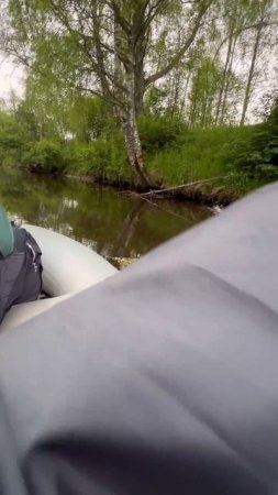 Первый сплав — комом  #рыбалка #norstream #new  #fishing #сплав #голавль