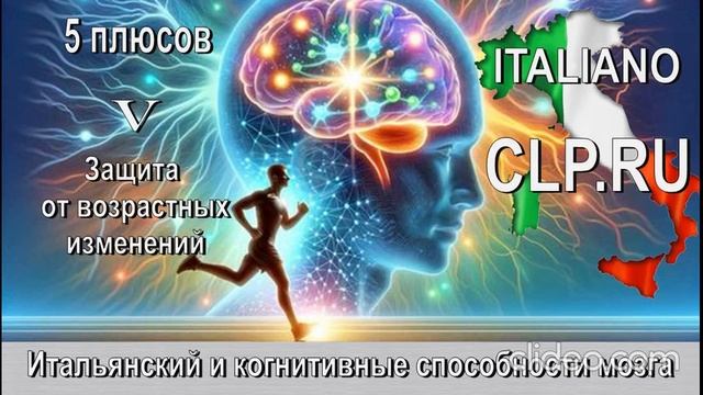 Курсы итальянского языка. 
Когнитивные способности мозга.
Пятый плюс
Защита от возрастных изменений