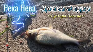 ГУСТЕРА ПЛОТВА ОКУНЬ ДОНКА ФИДЕР ВЕЧЕР РЫБАЛКА РЕКА НЕВА ОБЗОР 2 ЧАСТИ