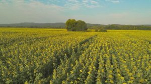 Кубань и Адыгея / Футаж