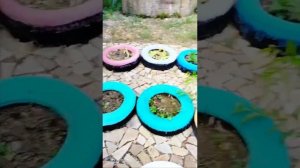 Давно не виделись / Огород - цветочки  не много - но глаз радуют