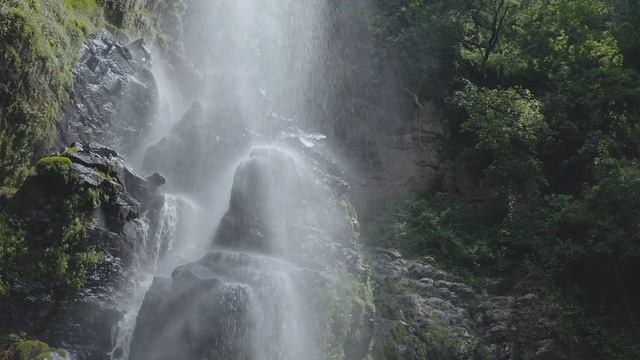 После дождичка в четверг 11