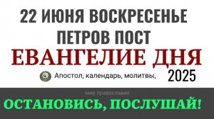 22 июня воскресенье Евангелие дня 2025 с толкованием #евангелие
