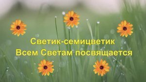 Светик-семицветик. Песня на День Рождения