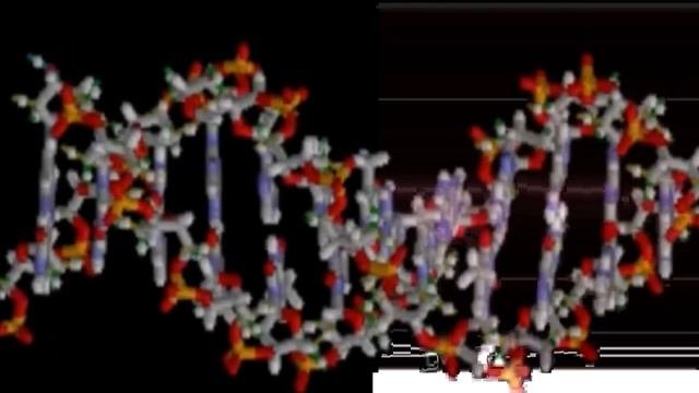 Список Матриц | Официальный перечень оригинальных чистых базовых матриц Петра Гаряева | Gariaev