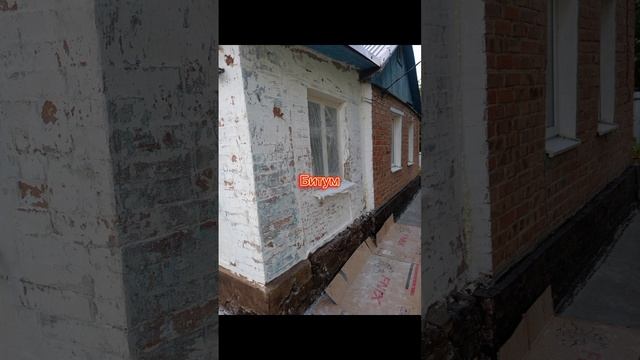Короед - 1 серия