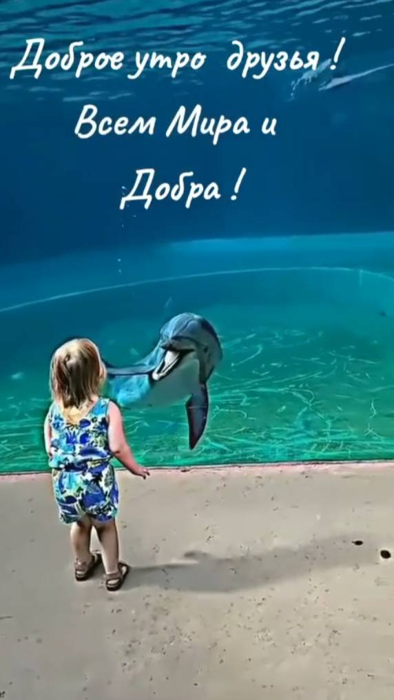 Доброе утро, друзья! Пусть каждый день будет полон света и добра!