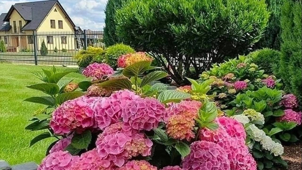 СКОРПИОНЫ 🍀🍀🍀 Ваш таро-прогноз на июль 2025 год. ✨✨✨