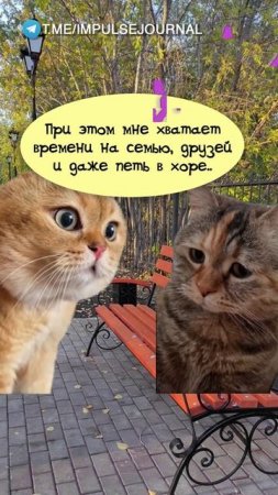 Видите, всё возможно (Мяукаем в телеграм Импульс Журнал 👉 @impulsejournal ) #пустьговорят #коты