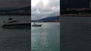 бухта Геленджика, 19 мая