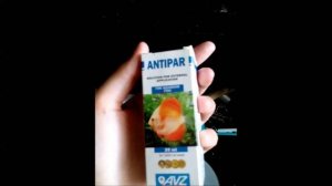 АНТИПАР - ЛЕЧЕНИЕ БОЛЬНЫХ РЫБ