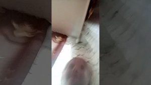 рассказывай сказочки плохие