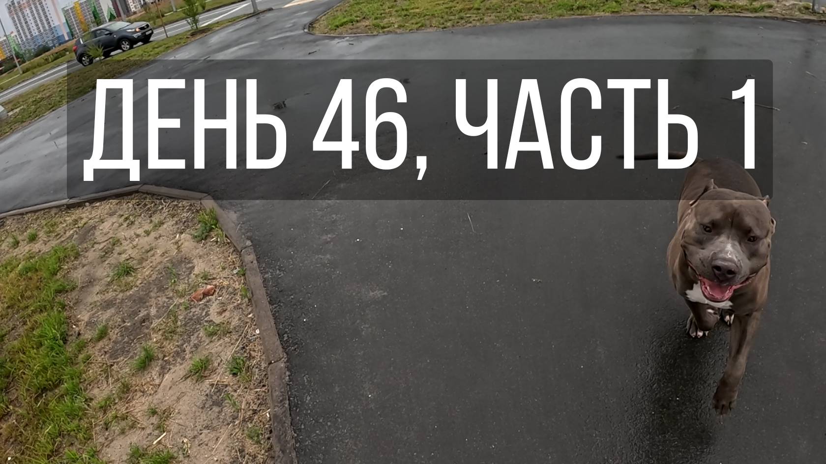 День 46, часть 1