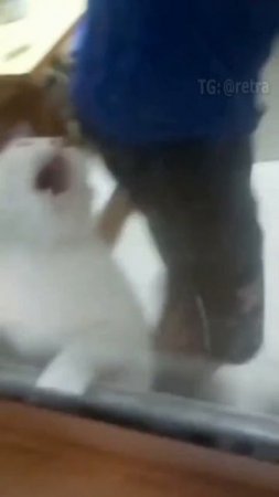Специально для рутуба  блокируйте.